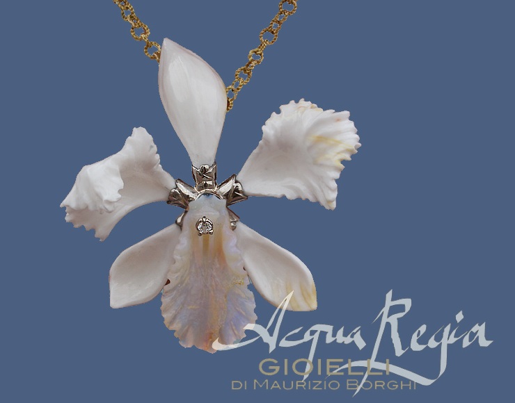 Orchidea www.mborghi.com